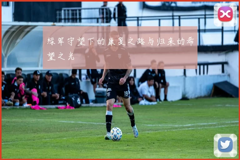 绿军守望下的康复之路与归来的希望之光